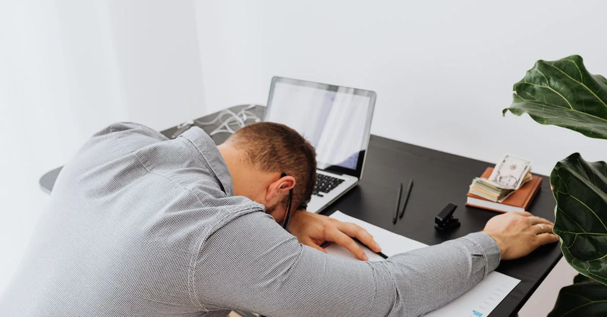 découvrez les secrets de la money plant : conseils d’entretien, bienfaits feng shui et astuces pour favoriser la prospérité dans votre intérieur.