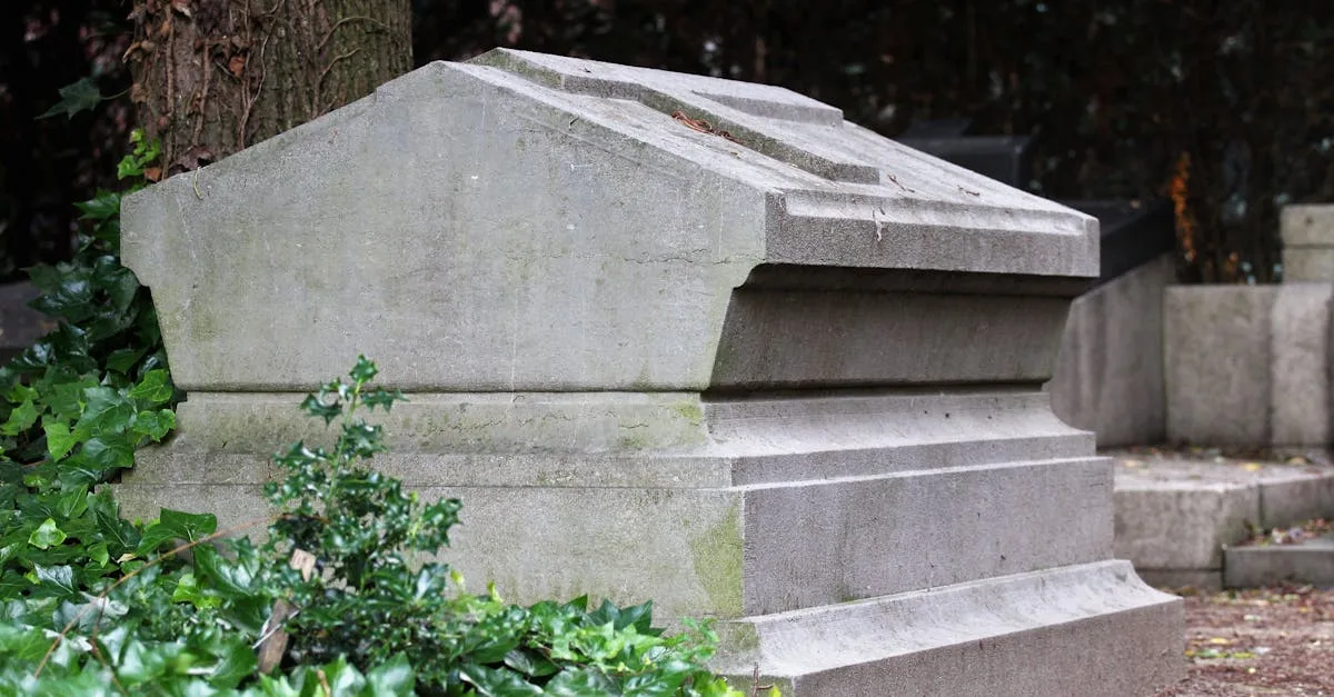 découvrez les avis de décès, hommages et souvenirs en mémoire de vos proches disparus. consultez les dernières nécrologies et partagez vos condoléances en ligne.