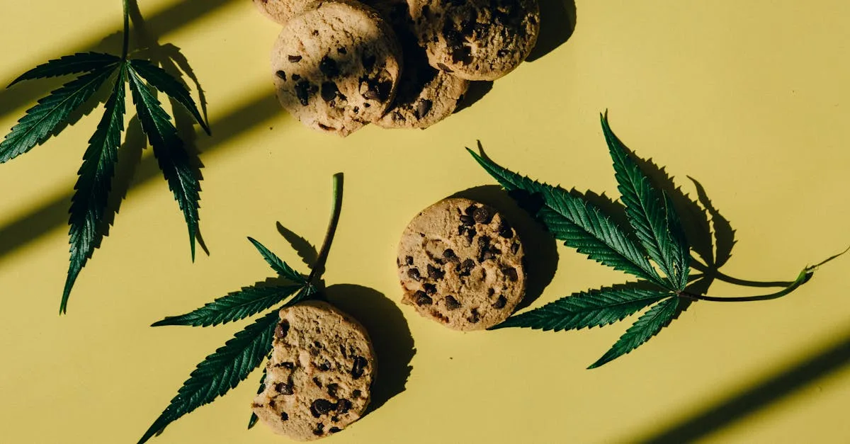 découvrez le ratio idéal de bicarbonate de soude et de vinaigre pour un désherbant naturel efficace, écologique et économique.