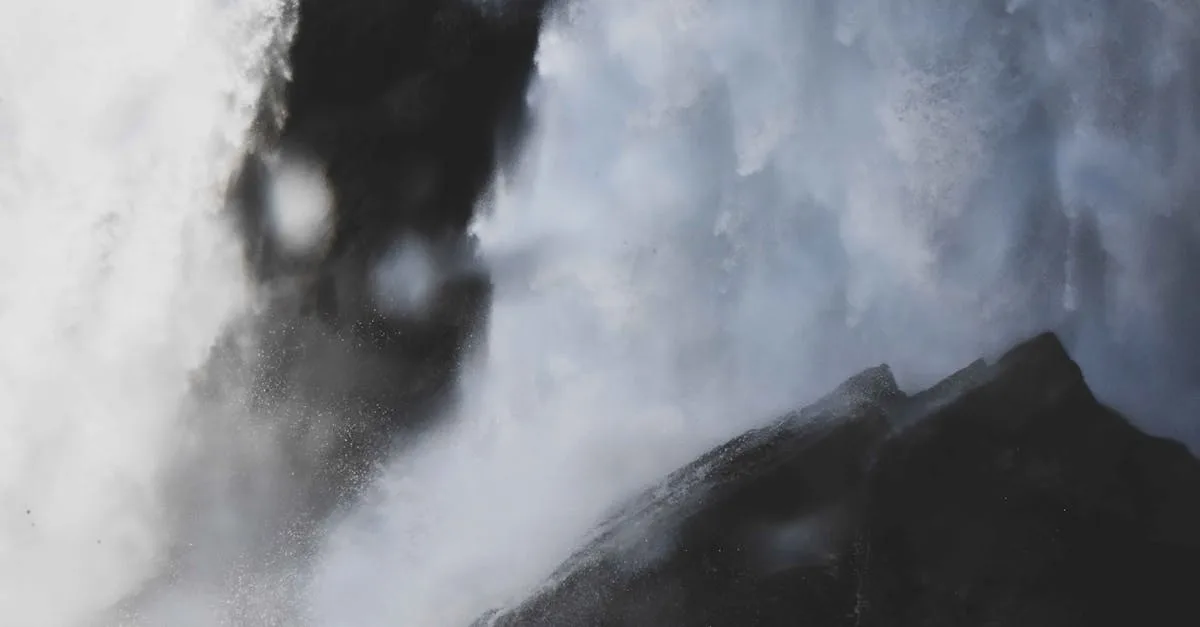 découvrez comment congeler les trompettes de la mort noires pour préserver leur saveur et leur texture délicates, avec nos conseils simples et efficaces.