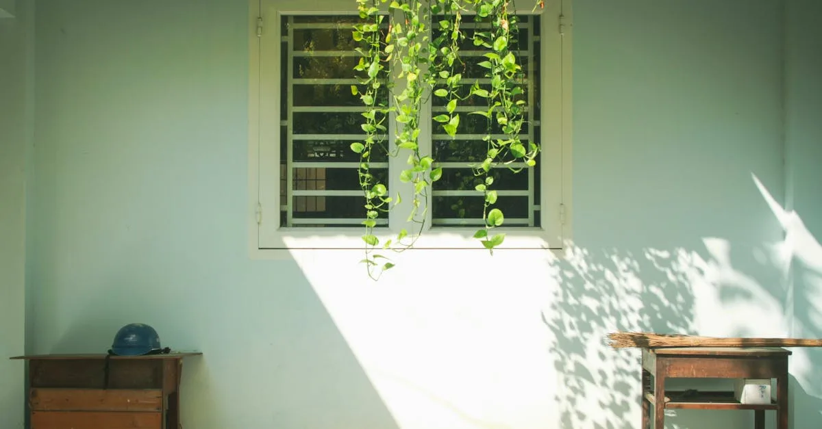 conseils pratiques pour un habitat écologique et durable, alliant confort et respect de l'environnement.