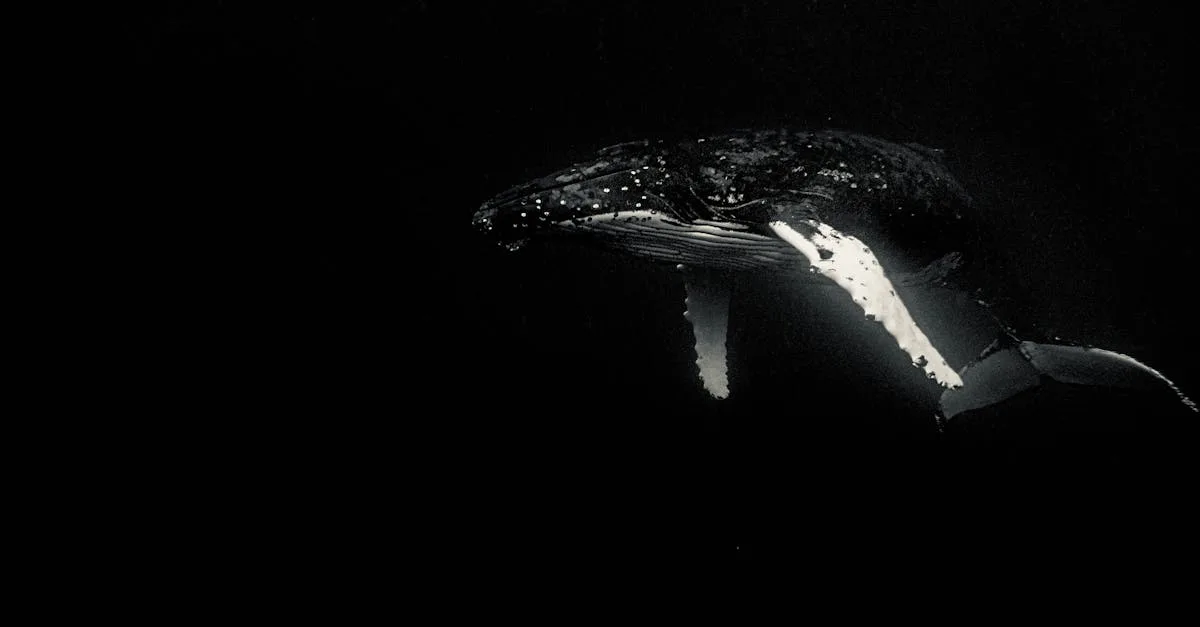 découvrez tout sur les mammifères : caractéristiques, espèces, habitats et comportements uniques de ces animaux fascinants.