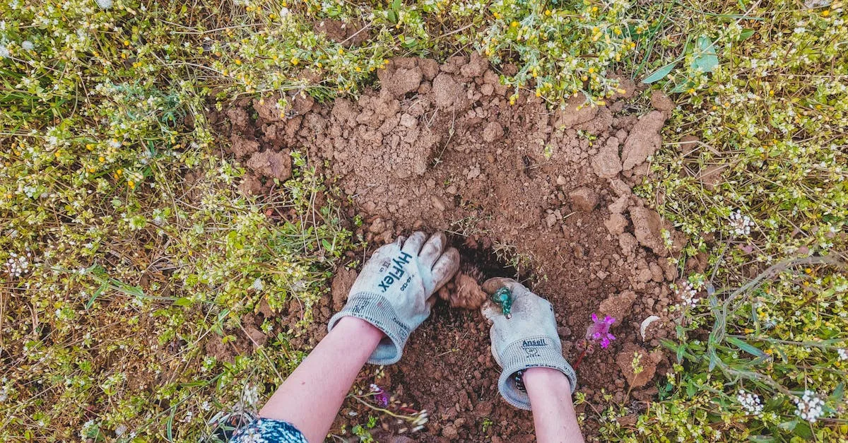 découvrez les avantages du semis de pelouse sans labourage (no-till) pour un jardin plus sain, une meilleure rétention d'eau et un sol préservé.