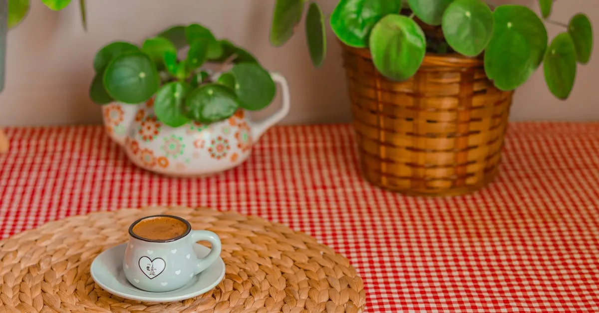 découvrez les causes courantes des problèmes de croissance du pilea et apprenez comment y remédier pour garder votre plante saine et vigoureuse.