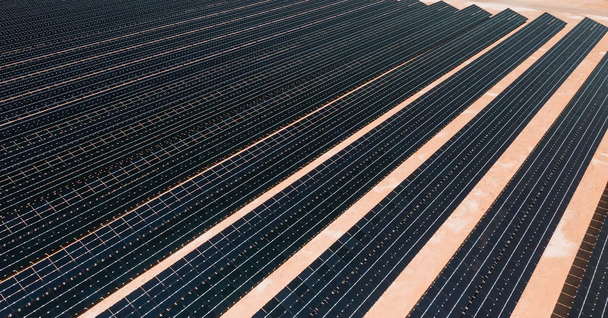 sylvidra energy, expert en solutions énergétiques innovantes et durables pour un avenir plus vert.