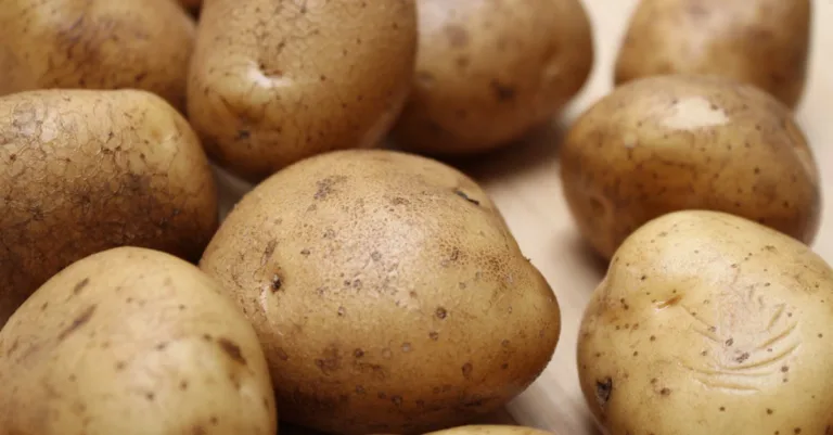 découvrez notre recette facile et délicieuse de gratin de pommes de terre, un plat réconfortant et savoureux parfait pour toute occasion.