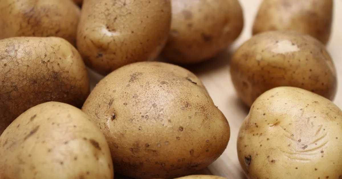 découvrez notre recette facile et délicieuse de gratin de pommes de terre, un plat réconfortant et savoureux parfait pour toute occasion.