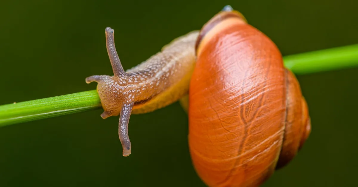 découvrez rotaline, l'expert en solutions innovantes pour vos projets. qualité, fiabilité et performance au rendez-vous.