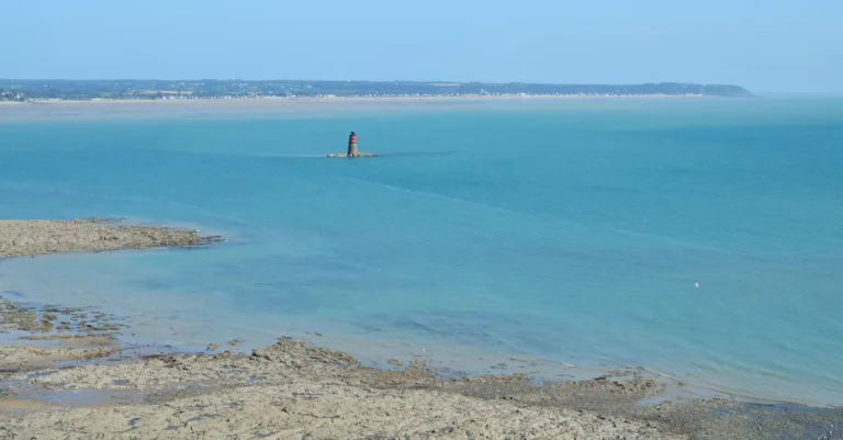 découvrez la cuisine normande authentique : saveurs traditionnelles, produits locaux frais, et recettes savoureuses de normandie.