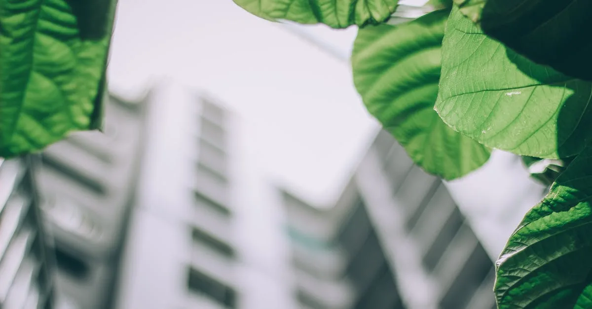 découvrez les réglementations environnementales essentielles visant à protéger notre planète et à promouvoir un développement durable.